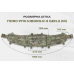 Пояс для разгрузки РПС Kiborg R-3 GEN.2 Койот — M