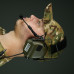 Цифровые активные защитные наушники Earmor M32 PLUS Олива