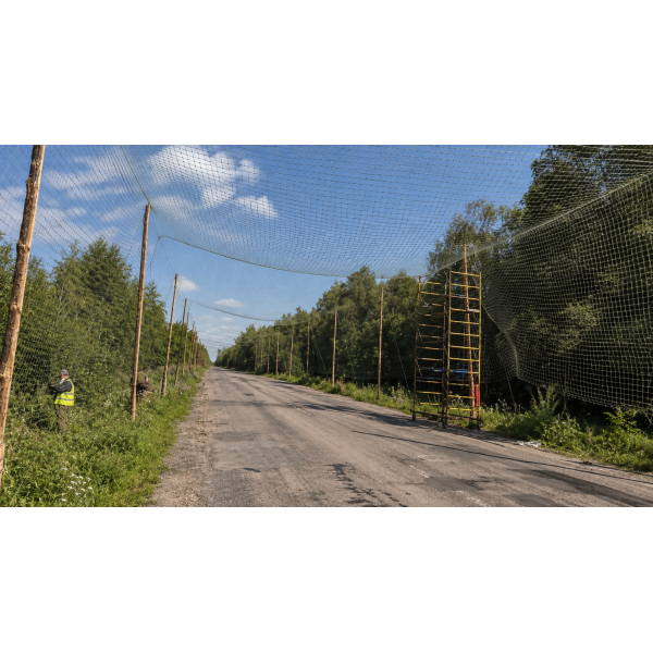 Основа «Кикимора», размер 7×60 м, ячейка 20×20 мм, нить 0,9 мм, цвет хаки