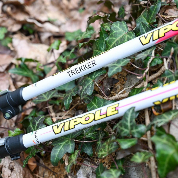 Палки трекинговые из алюминия Vipole Trekker Violet (S25 11)