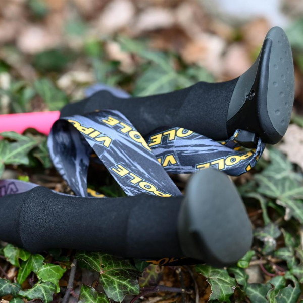 Палки трекинговые из алюминия Vipole Trekker Violet (S25 11)