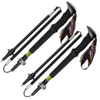 Палки трекинговые Vipole Approach Long DLX (S25 44)