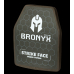 Бронеплита Bronyx 5 класу CAP5-M (2,5 кг) (5 клас) 250*305 (1шт)