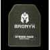 Бронеплита Bronyx 6 класу CAP6-L (3.25 кг) (6 клас) 260*330 (одна площина) (1шт)